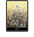 �ե����ȡ�����