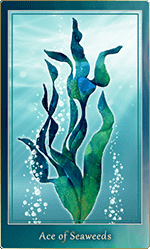 �����������ɡ�1