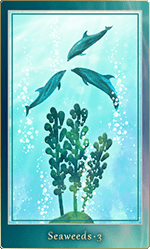 �����������ɡ�3