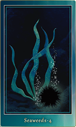 �����������ɡ�4