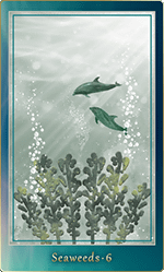 �����������ɡ�6