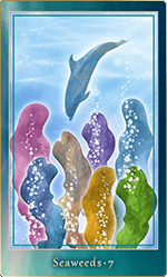 �����������ɡ�7