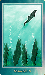 �����������ɡ�8