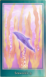 �����������ɡ�9