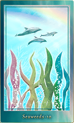 �����������ɡ�10