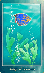 �����������ɤΥʥ���