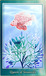 �����������ɤΥ�������