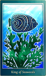 �����������ɤΥ���