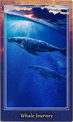 �������ι