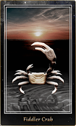 �����ޥͥ�