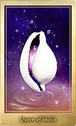 ������Υ�������