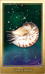 ������Υ���