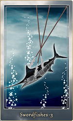 �����ɥե��å��塦3