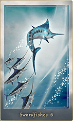 �����ɥե��å��塦6