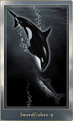 �����ɥե��å��塦9