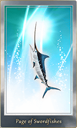 �����ɥե��å���Υڥ���