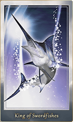 �����ɥե��å���Υ���