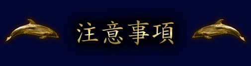 ���ջ���