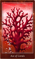 ������롦1