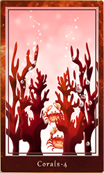 ������롦4