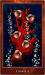 ������롦5