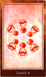 ������롦6