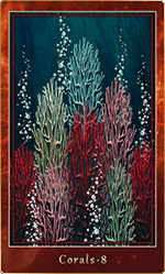 ������롦8