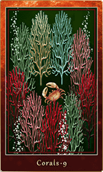 ������롦9