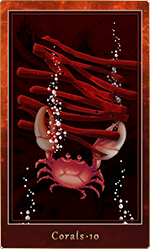 ������롦10