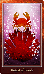 �������Υʥ���