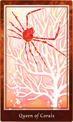 �������Υ�������