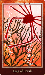 �������Υ���