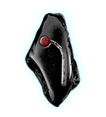 ���� �����ȡ�