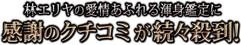 �ӥ����ΰ��𤢤դ���տȴ���˴��դΥ������ߤ�³��������