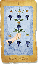 VII