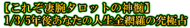 ڤ줾ӥåȤο1/3/5ǯ夢ʤοε