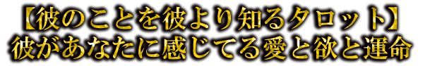 ΤȤΤ륿åȡबʤ˴Ƥ밦ߤȱ̿
