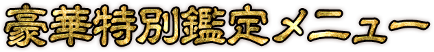 ̴˥塼