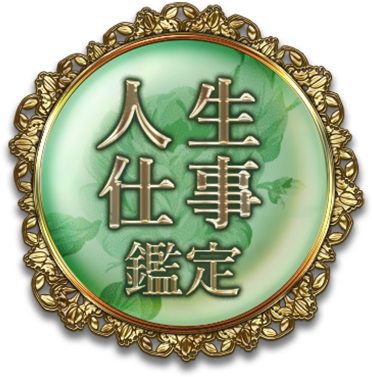 �����Ż�����