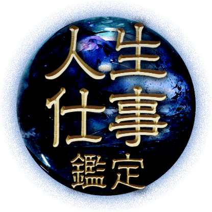 �����Ż�����