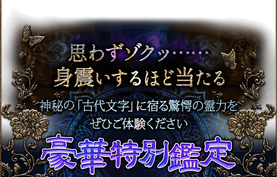 �פ鷺�����áġĿȿ̤�����ۤ������� ����Ρָ���ʸ���פ˽ɤ��س�����Ϥ򤼤Ҥ��θ��������� �ڹ�����̴����